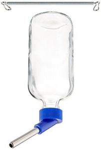 16oz Lixit Glass Water Bottle